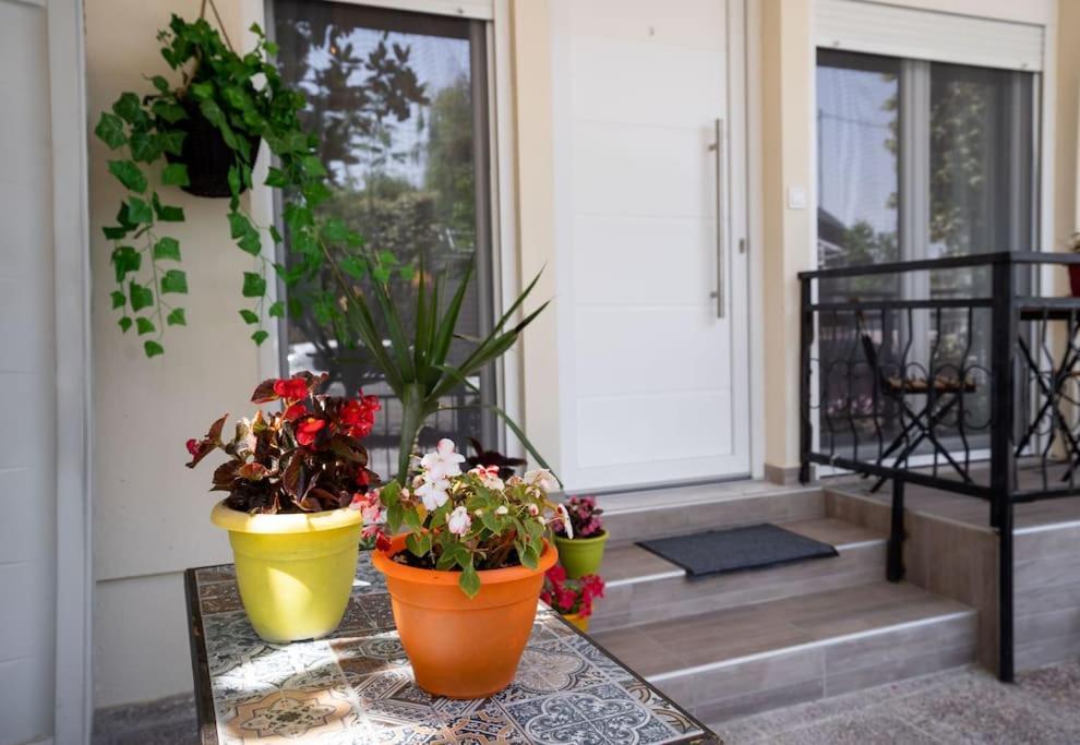Elenis Cozy Apartment لاريسا المظهر الخارجي الصورة
